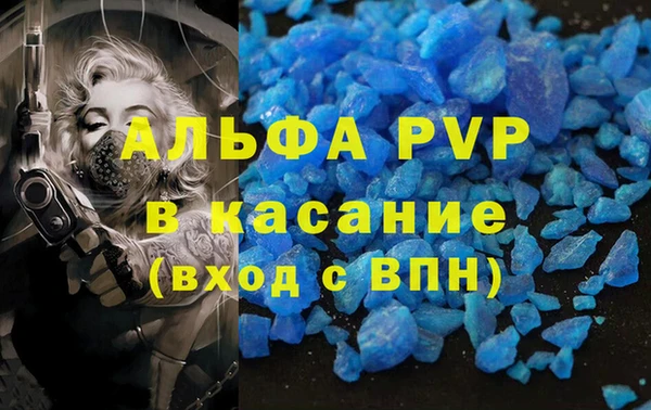 индика Нефтекумск