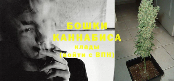 бошки Нея