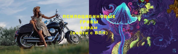 бошки Нея