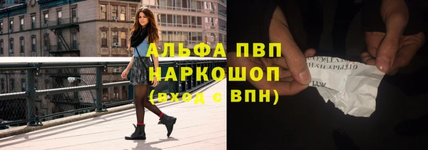 индика Нефтекумск
