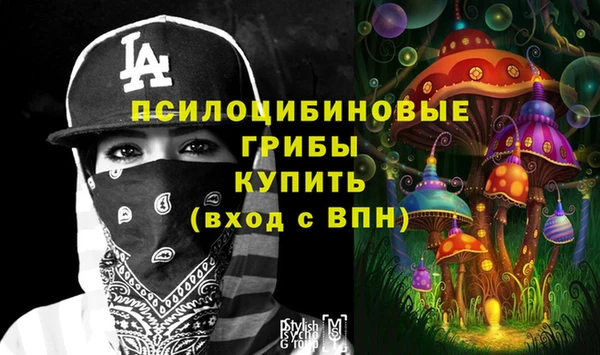 индика Нефтекумск