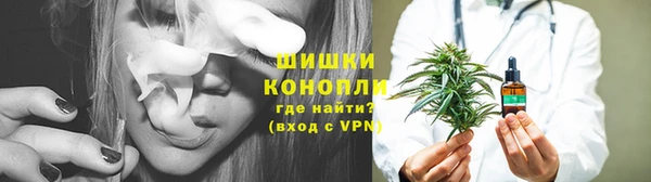 индика Нефтекумск