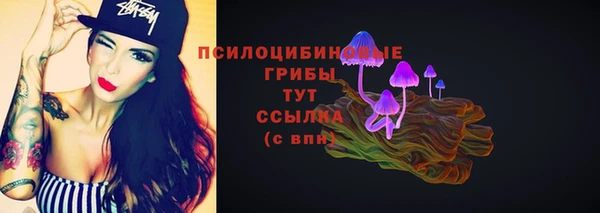 индика Нефтекумск
