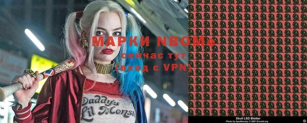 индика Нефтекумск
