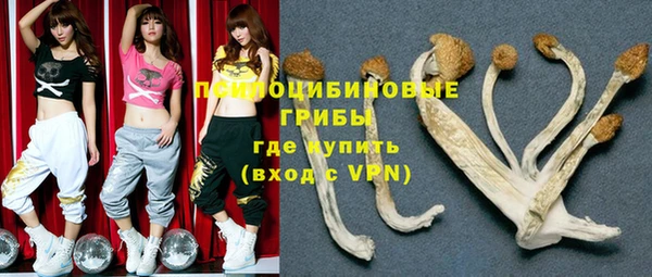 бошки Нея