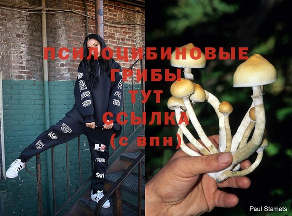 бошки Нея